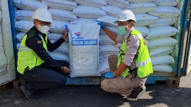 Joint inspection antara Karantina Pertanian Makassar dan Bea Cukai Makassar untuk komoditas Bawang putih, Makassar, 7 Oktober 2021. (Dok. Kemenkeu