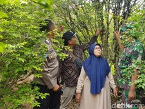Keren! Lansia di Sukabumi Sukses Budidaya Anggur Brazil
