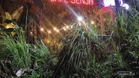Cafe Senja tempatnya melepas penat dan menikmati senja