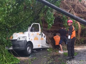 Pohon Roboh Timpa Mobil di Depan Stasiun Balapan Solo, Sopir Sempat Terjebak