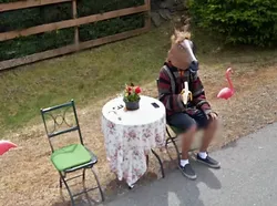 Momen Aneh yang Terekam Mobil Google