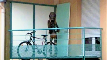 Makhluk menyeramkan ini membuat takut banyak orang. Foto: Brightside