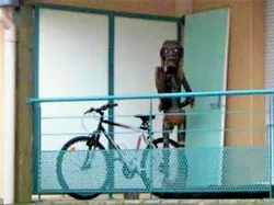 Momen Aneh yang Terekam Mobil Google