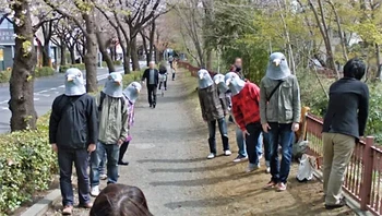 Mungkin ini adalah komunitas burung merpati. Foto: Sisi Terang