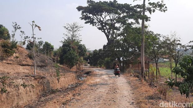 Perbukitan Pegunungan Patiayam tepatnya Desa Terban bekas permukiman warga, Selasa (24/10/2023).