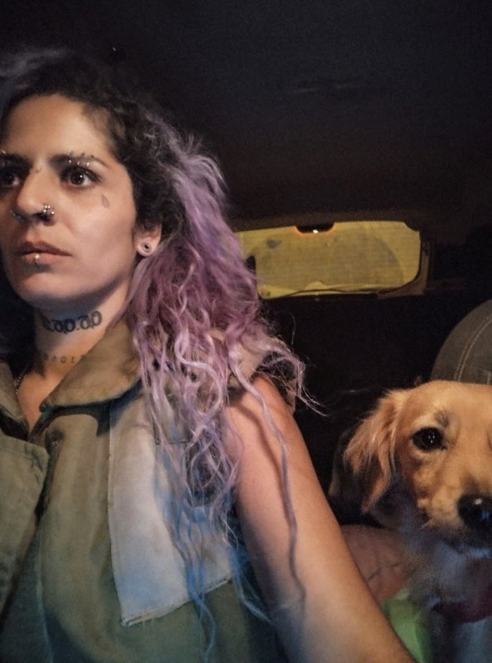 A volunteer lifts a dog that has been rescued among other animals near the Israel Gaza border in Southern Israel, amid the ongoing conflict between Israel and Palestinian Islamist group Hamas, in this undated handout obtained by Reuters on October 24, 2023. The Israeli Bat Sanctuary/Handout via REUTERS  ATTENTION EDITORS - THIS IMAGE WAS PROVIDED BY A THIRD PARTY. NO RESALES. NO ARCHIVES