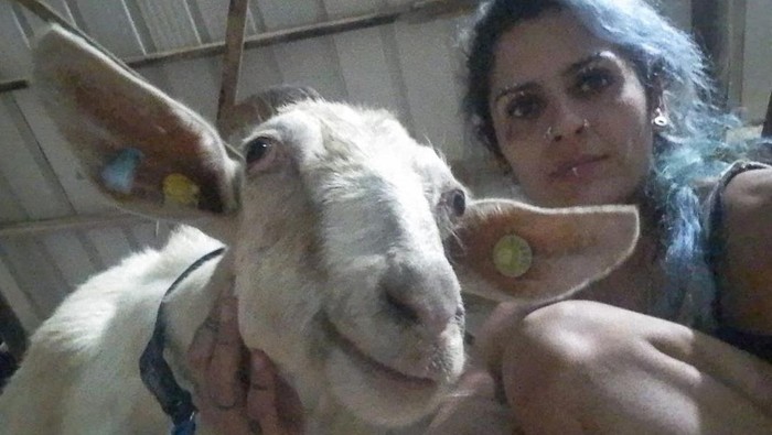 A volunteer lifts a dog that has been rescued among other animals near the Israel Gaza border in Southern Israel, amid the ongoing conflict between Israel and Palestinian Islamist group Hamas, in this undated handout obtained by Reuters on October 24, 2023. The Israeli Bat Sanctuary/Handout via REUTERS  ATTENTION EDITORS - THIS IMAGE WAS PROVIDED BY A THIRD PARTY. NO RESALES. NO ARCHIVES