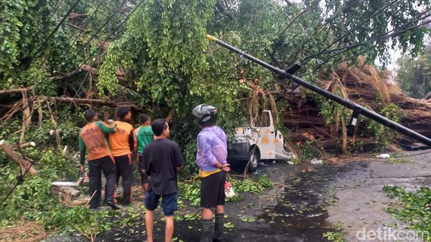 Pohon tumbang di Solo, Selasa (24/10/2023).