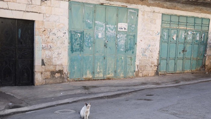 Senior Hamas Tewas di Penjara Israel, Toko-toko di Tubas Tutup A man sits outside a closed shop during a general strike over the death of Palestinian prisoner Omar Daraghmeh in Israeli jail, in Tubas, in the Israeli-occupied West Bank, October 24, 2023. REUTERS/Raneen Sawafta