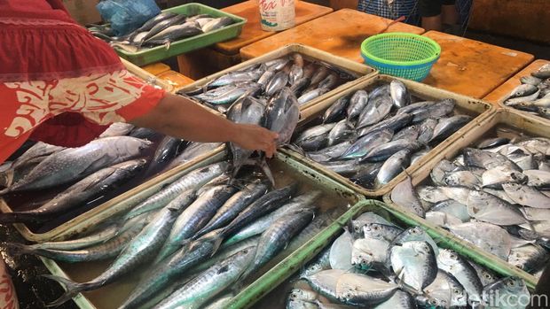 Suasana di Pasar Ikan Pabean Surabaya ketika Lia melakukan peliputan.