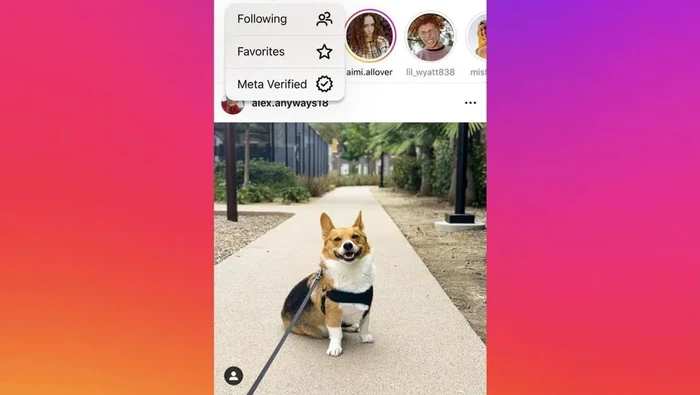 Tampilan feed baru Instagram