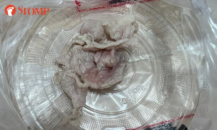 Termakan Daging Babi Mentah Wanita Ini Muntah Sampai Fobia Daging Babi