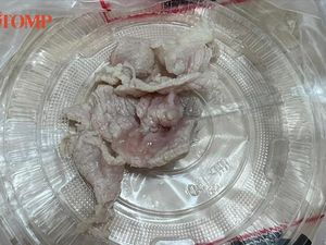 Termakan Daging Babi Mentah Wanita Ini Muntah Sampai Fobia Daging Babi