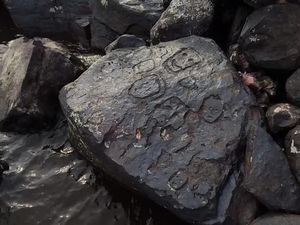 Arkeolog Temukan Ukiran Batu Kuno saat Sungai Amazon Mengering
