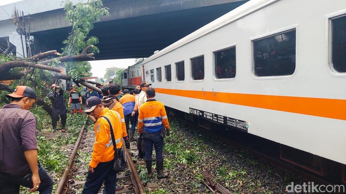 Evakuasi Pohon Tumbang di Jalur KA Cimindi-Cimahi