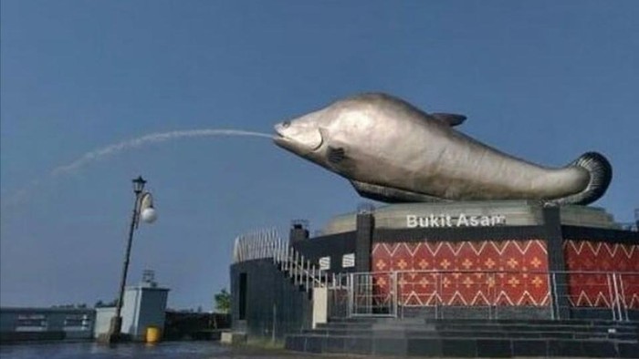 Ikan Belida ikon Sumatera Selatan.