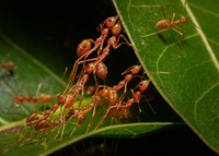 Internasional Natures Best Photography 2023