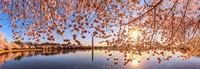 Internasional Natures Best Photography 2023
