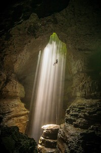 Internasional Natures Best Photography 2023