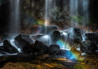 Internasional Natures Best Photography 2023