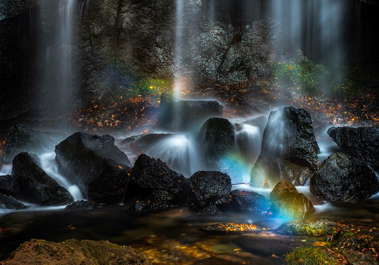 Internasional Natures Best Photography 2023