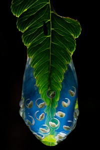 Internasional Natures Best Photography 2023