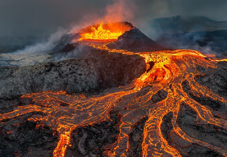 Internasional Natures Best Photography 2023