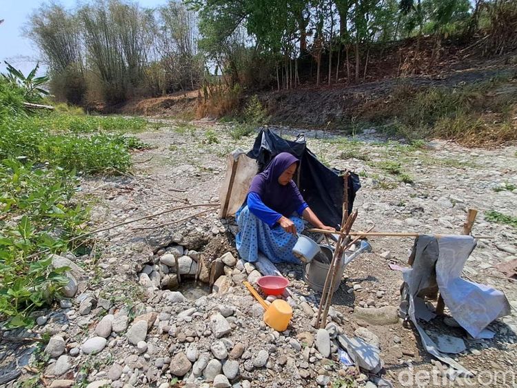 Potret Kekeringan di Jombang Dampak Kemarau Panjang