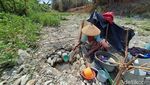 Potret Kekeringan di Jombang Dampak Kemarau Panjang