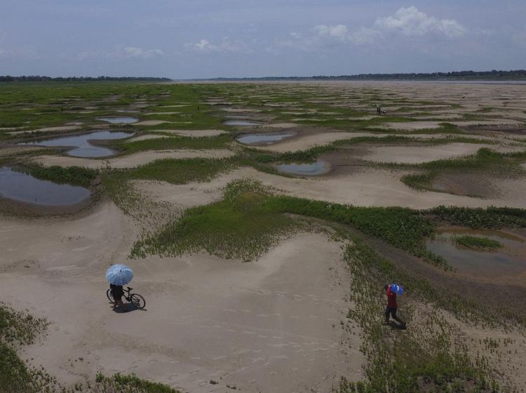 Kekeringan Parah, Sungai Amazon Berubah Jadi Savana