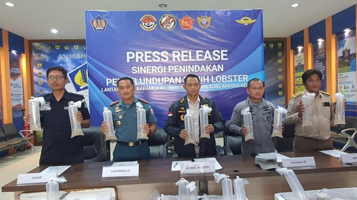 Keterangan pers penyelundupan benih lobster di Kepri. (Dok Lantamal IV)