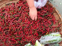 Harga Sembako Jogja Hari Ini 12 Juni 2025: Cabai Merah Keriting Bangkit Lagi!