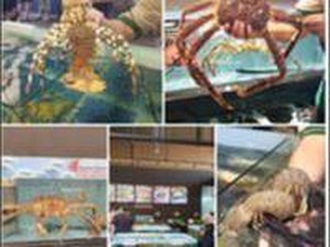 Kuliner Seafood Fresh Disini Lokasinya