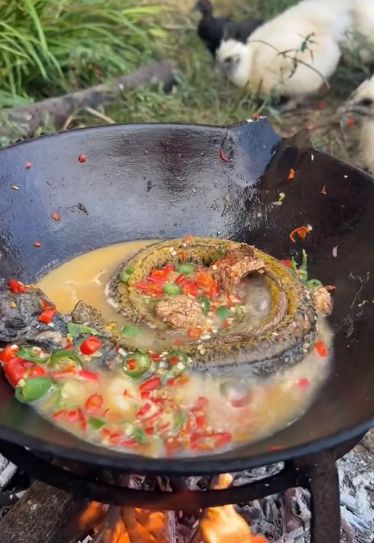 Jijik! TikToker Ini Masak Sup Tikus hingga Anjing Panggang