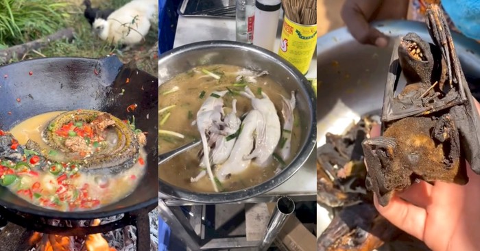 Jijik! TikToker Ini Masak Sup Tikus hingga Anjing Panggang