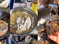 Jijik! TikToker Ini Masak Sup Tikus hingga Anjing Panggang