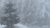 Lebatnya salju di Gunung Uludag.