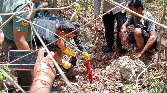 Penemuan kerangka manusia di hutan Buton Tengah, Sultra.