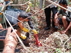 Fakta-fakta Penemuan Kerangka Manusia di Buton, Korban Hilang 7 Tahun Lalu