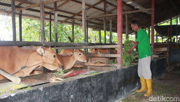 Pertamina TANTE SISCA