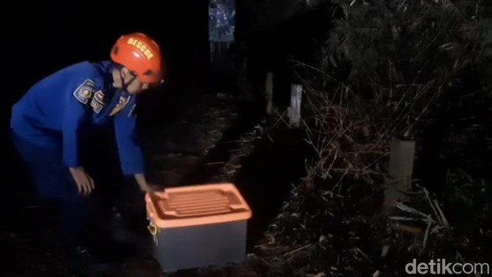 Petugas saat melepaskan monyet ekor panjang di TNGGP