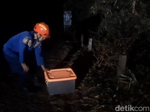 Monyet Ekor Panjang yang Resahkan Warga Dilepasliar di Gede Pangrango