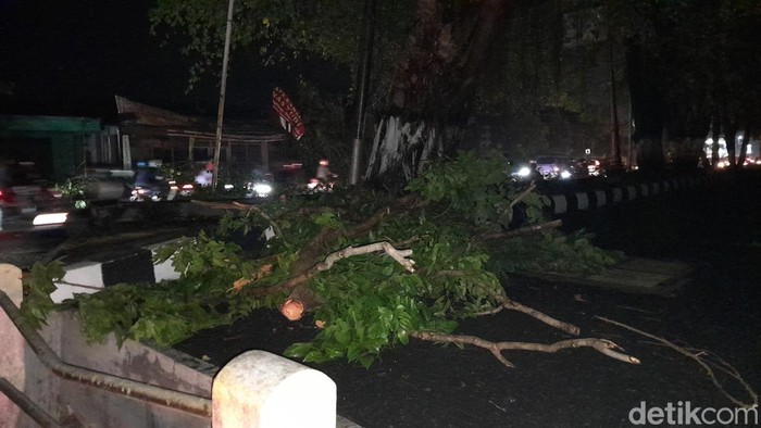Pohon bertumbangan di Jalan Jenderal Sudirman, Sukoharjo, Rabu (25/10/2023) malam.
