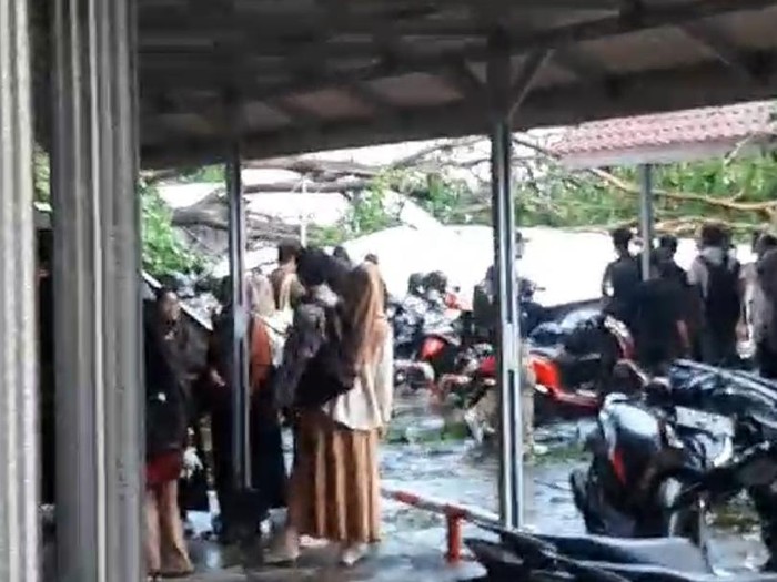 Pohon tumbang di parkiran UMS menimpa banyak motor, Rabu (25/10/2023).