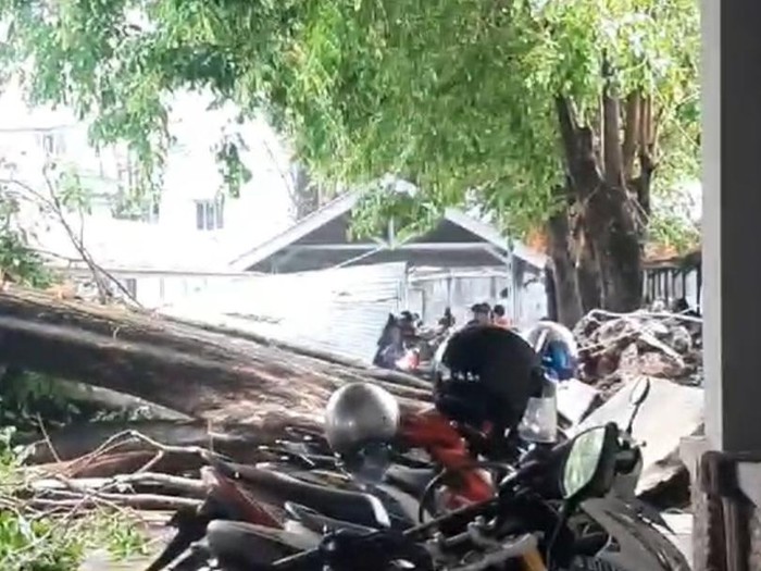 Pohon tumbang di parkiran UMS menimpa banyak motor, Rabu (25/10/2023).