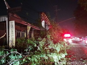 Banyak Pohon Tumbang-Mati Lampu, Lalin Jalan Sudirman Sukoharjo Merayap