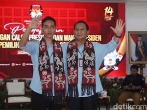 4 Nama Mencuat Jadi Ketua Tim Prabowo-Gibran di Sulsel: Menteri-Eks Walkot