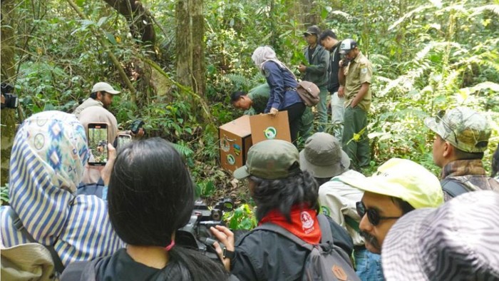 Proses pelepasliaran satwa liar di Kabupaten Bandung