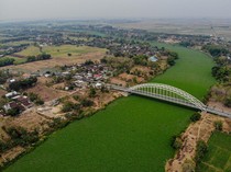 Penampakan Sungai Bengawan Solo yang Dipenuhi Eceng Gondok