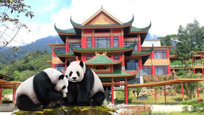Potret Istana Panda